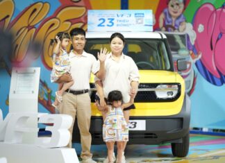 Electric Vehicle Revolution: Vietnamese Consumers Embrace Upgrades with Massive Discounts