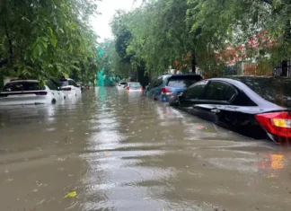 The Capital’s Streets Turn into Rivers: Hanoi’s Inundation Due to Storm No. 5
