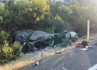 Witnesses Stunned by Honda Civic Crash Scene: How Did the Driver Survive?