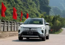 The Cars That Could Survive if the Proposed Fuel Consumption of 4.83 L/100 km is Approved