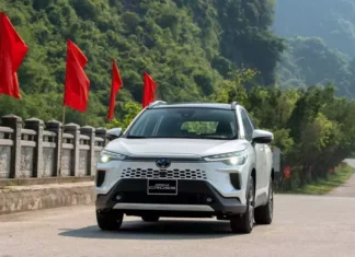 The Cars That Could Survive if the Proposed Fuel Consumption of 4.83 L/100 km is Approved