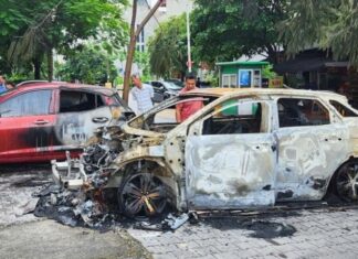 What Thaco Has to Say About the Peugeot 3008 Fire Incident in Bac Ninh