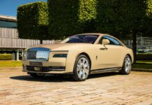 Rolls-Royce Spectre Bailey: An Emotional Symphony for Your Four-Legged Companion