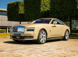 Rolls-Royce Spectre Bailey: An Emotional Symphony for Your Four-Legged Companion