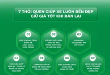 Pro Tips to Keep Your Car Looking Brand New: Maximize Longevity, Beauty, and Resale Value