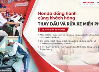 Free Oil Change & Flood Damage Inspection for Honda Vehicles Affected by Northern Vietnam Floods