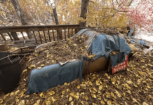 1990 Porsche 911 Targa Discovered After 31 Years Hidden in a Pine Forest