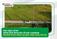 Escaping the City Hustle: A Solo Camping Retreat to Slow Down and Recharge