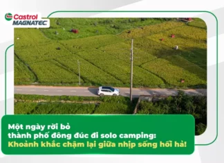 Escaping the City Hustle: A Solo Camping Retreat to Slow Down and Recharge