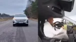 Journalist’s Shocking Steering Wheel Stunt on Omoda C5 Goes Viral, Prompting Official Response