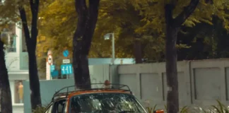 Vintage Car Collection of Russian Enthusiasts Stuns Ho Chi Minh City: A Jaw-Dropping Jaguar E-Type Takes Center Stage