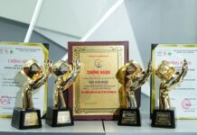 VinFast Sweeps Prestigious “Quadruple Crown” at Vạn Xuân Awards 2025