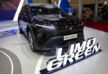 VinFast Limo Green to Debut New Name Upon International Launch