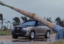 Yangwang U8L Unscathed After Palm Tree Falls Directly on Its Roof