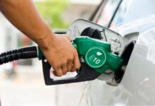 Biofuel E5, E10: Essential Usage Guidelines