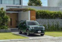 Hyundai 2025: Unraveling the Sales Slowdown After a Period of Rapid Growth