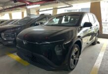 VinFast Limo Green Premium Family Edition Unveiled with Superior Features