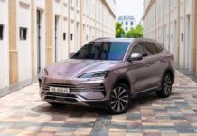 China Poised to Overtake Japan in Global Auto Sales Dominance by 2025