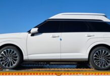 Hyundai Palisade High-Roof Edition: The Ultimate Executive SUV Unveiled