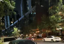 The New Bentley Continental GT in Deep Green: A Signature Hue for Hanoi’s Porsche Enthusiasts